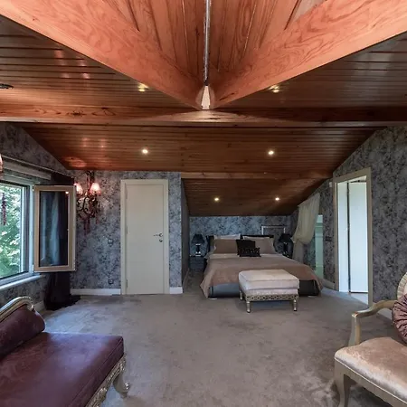 Zero Stress Villa- Estambul